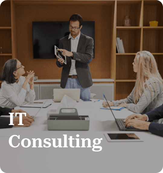 IT Consulting